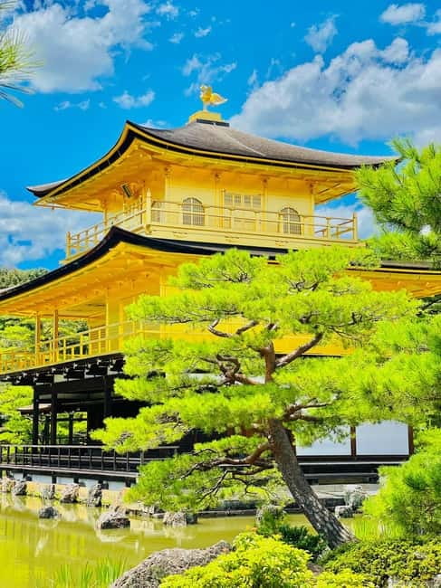 Kyoto: Private Customized Tour With English Speaking Guide - What to bring and how to survive a full day of temple photos