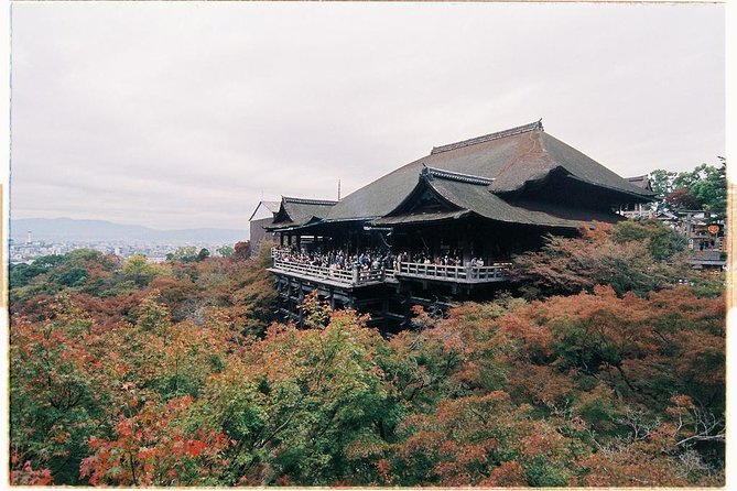 Kyoto Private Day Tour with English-Speaking Driver from Kyoto - Arashiyama Bamboo Forest: 45 minutes of calm, then crowds