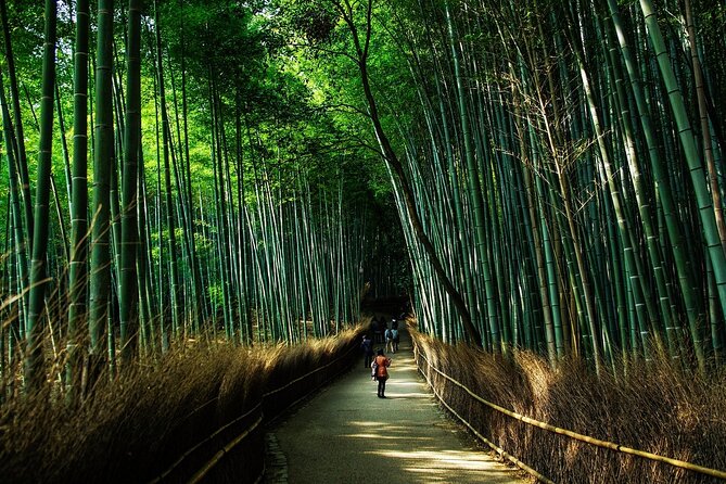 Kyoto: Private Flexible 3 hours tour with a local guide - Kiyomizu-dera with city views: beautiful, but budget for admission