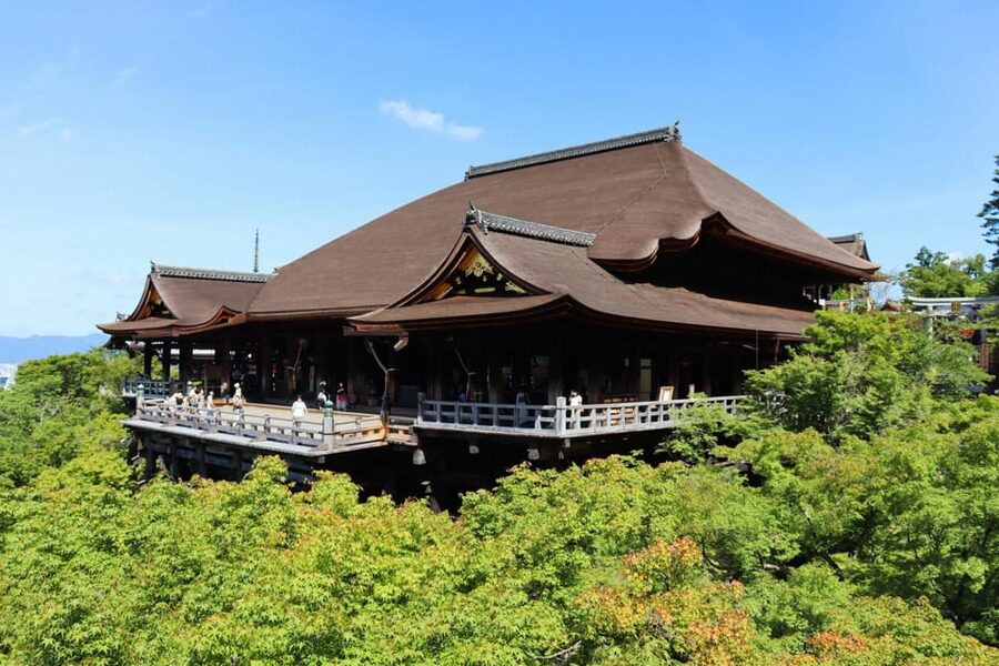 Kyoto: Private Full-Day Tour by Car - Bamboo forest: how to see it without burning your whole day
