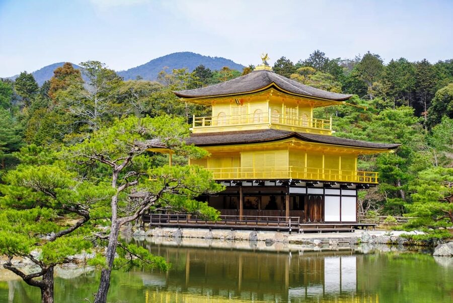 Kyoto: Private Full-Day Tour by Car - Food and drink stops, and how to plan them