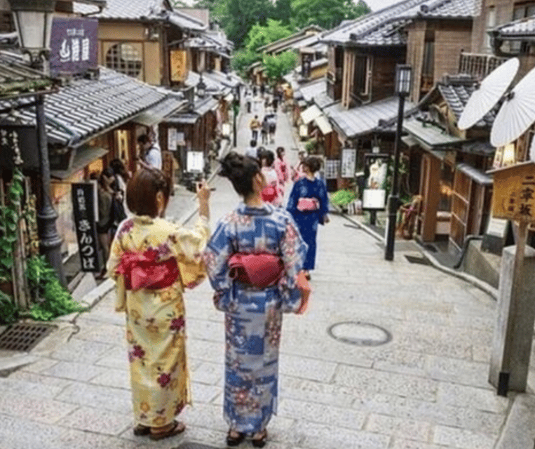 Kyoto: Private Highlights Tour with Guide and Luxury Vehicle - Arashiyama bamboo grove, Tenryu-ji area, Kimono Forest, and Monkey Park
