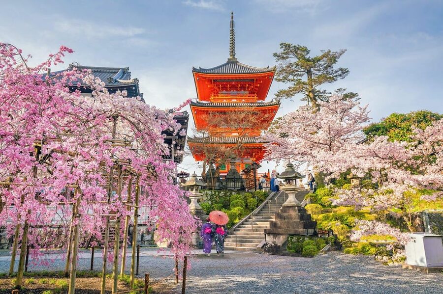 Kyoto: Private Highlights Tour with Guide and Luxury Vehicle - Ginkaku-ji and Sanjusangen-do: two chances to see Kyoto differently