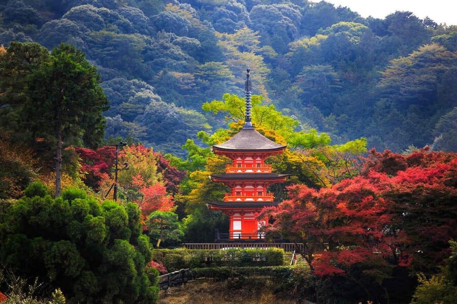 Kyoto: Private Highlights Tour with Guide and Luxury Vehicle - Nishiki Market lunch and Gion evening mood