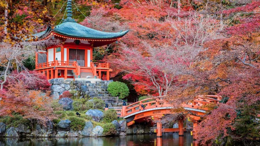 Kyoto:Private Tour/Luxury Vehicle with Guide & photographer - Price and value for a group up to 6