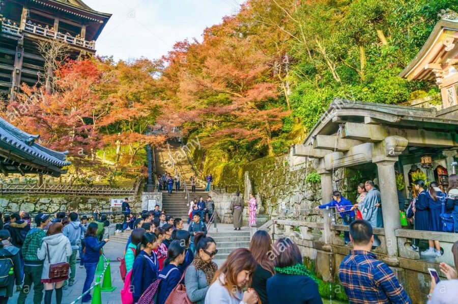 Kyoto: Private Tour with Local Licensed Guide - Why a nationally licensed guide changes Kyoto