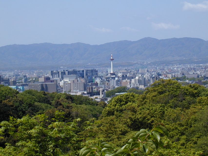 Kyoto: Private Tour with Local Licensed Guide - How the private walking format works (and how far you’ll go)