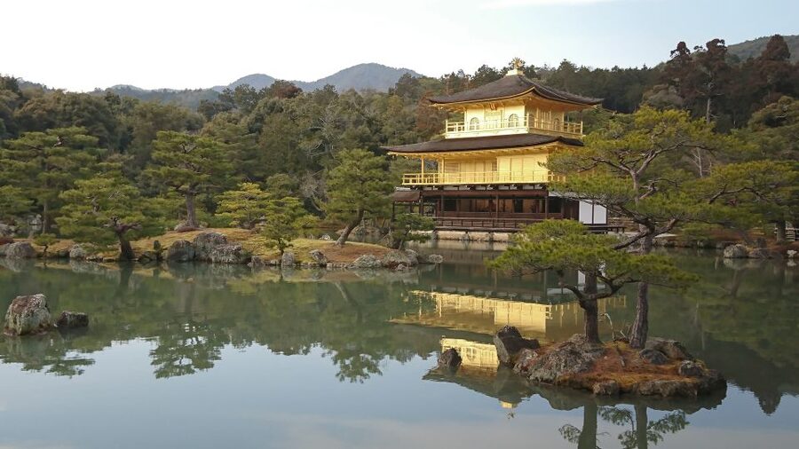 Kyoto: Private Walking Tour with a Local - How the walk actually unfolds: photo stops, guided sightseeing, and real pacing