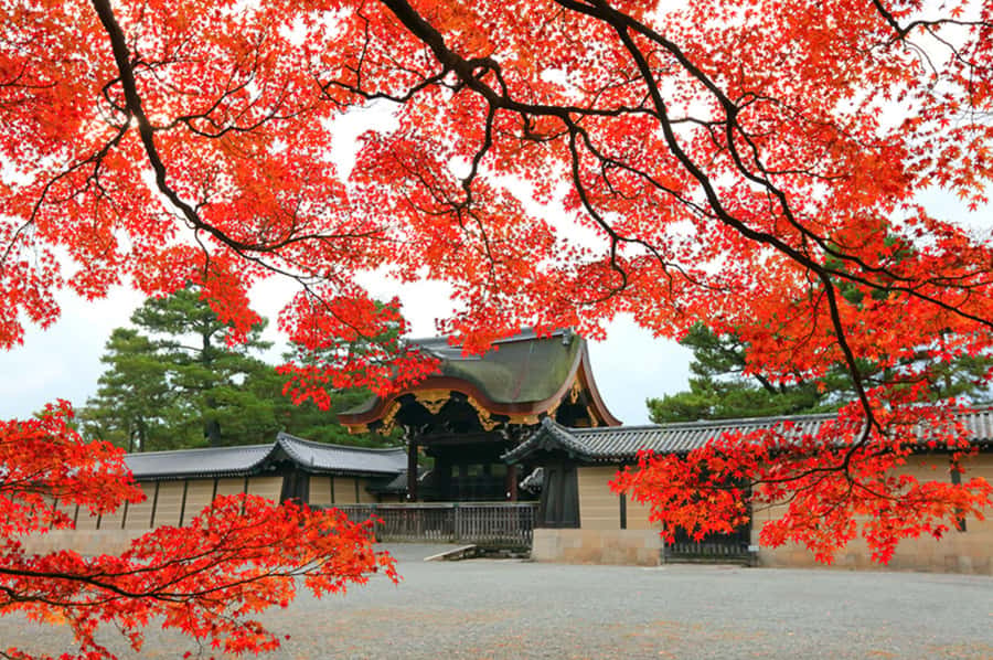 Kyoto: Tailored E-Bike Tour to Highlights & Hidden Gems - Wagashi stops that feel fun, not forced