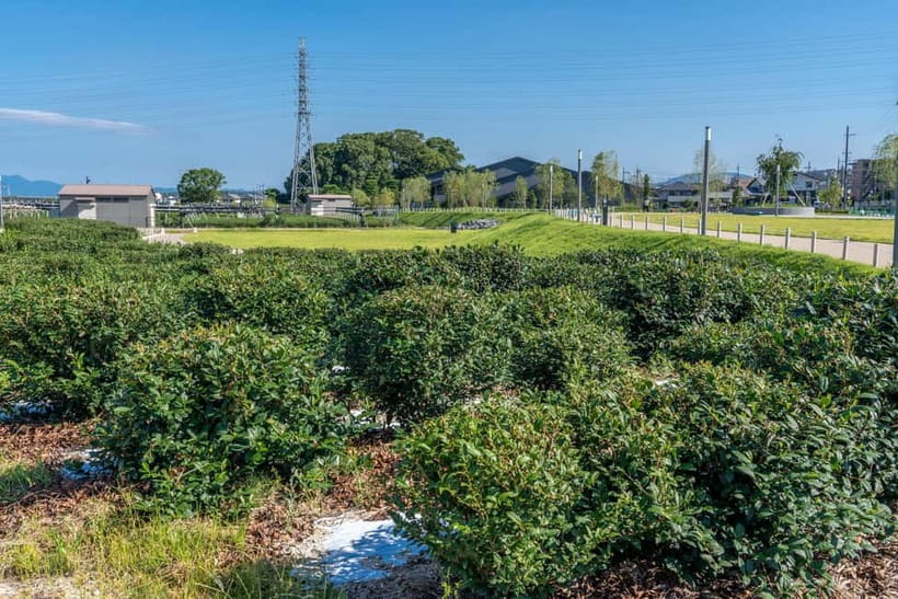 Kyoto: Tea Museum Tickets and Matcha Grinding Experience - The 2:45 p.m. Summer-Only Matcha Over Ice Cream Moment