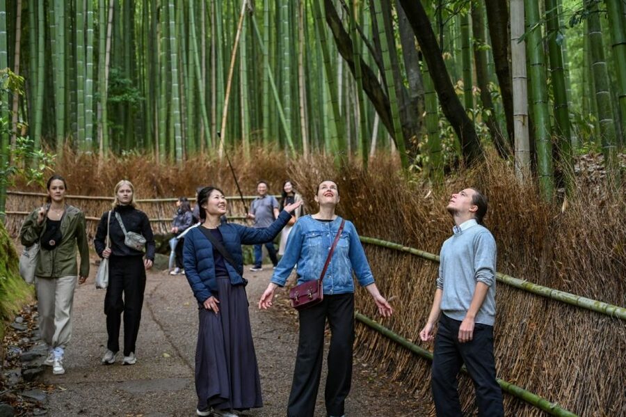Kyoto to Arashiyama Day Trip - Private & Personalized - Togetsukyo Bridge and the Bamboo Grove, but with breathing room