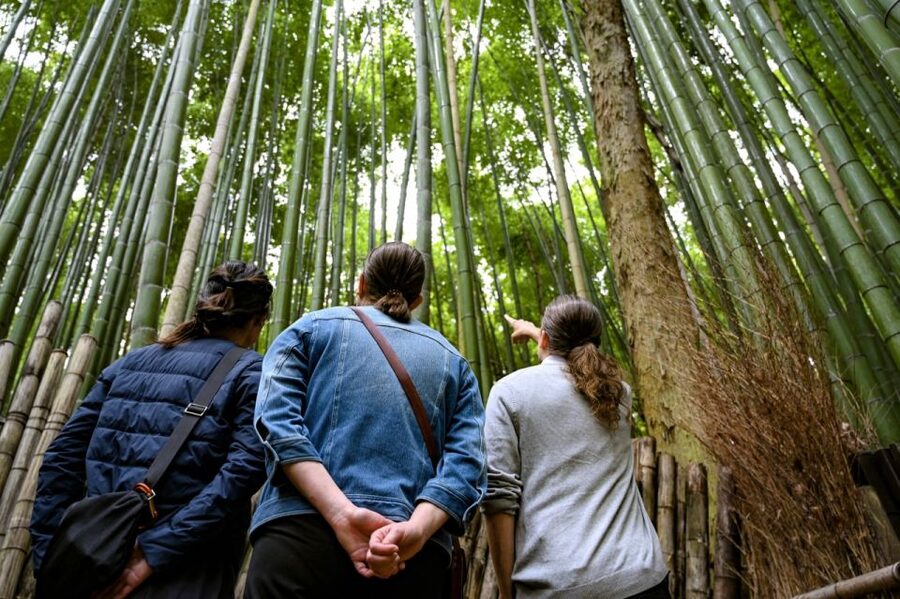 Kyoto to Arashiyama Day Trip - Private & Personalized - Tenryu-ji Temple and Jojakko-ji: where the quiet parts matter