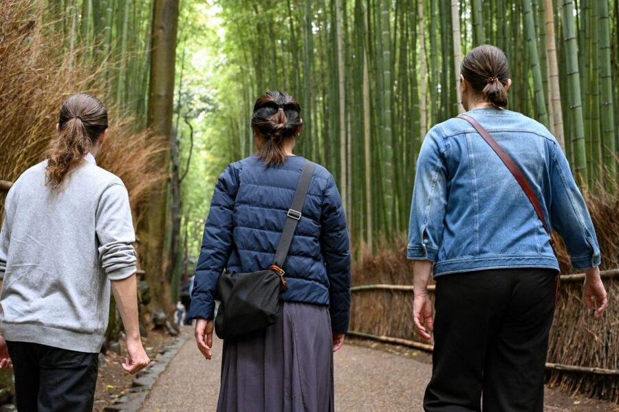 Kyoto to Arashiyama Day Trip - Private & Personalized - Starting in Kyoto: meet at Mister Donut, then a short tram ride