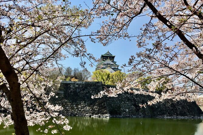 Kyoto Top Four Highlights Day Trip from Osaka or Kyoto - Price and value, what $67 really covers