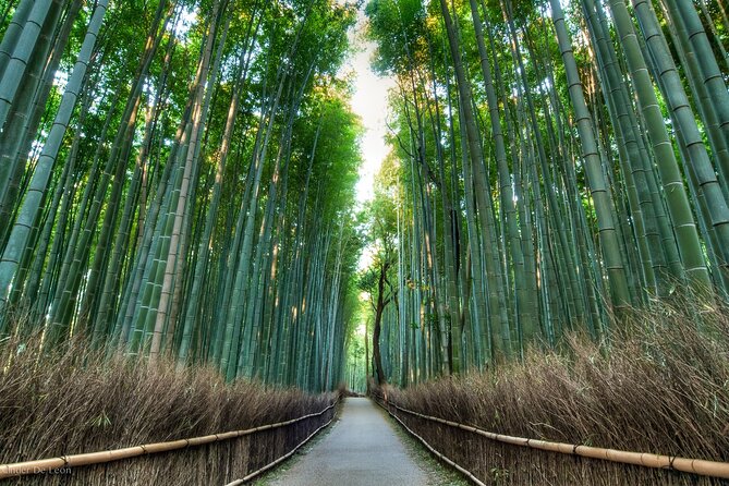 Kyoto tour with English Speaking Chauffeur - Fushimi Inari-taisha: the torii gates moment