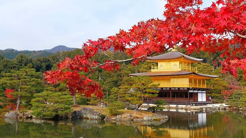 Kyoto UNESCO World Heritage Sites 1d Tour from Osaka/Kyoto - Key highlights you will actually notice
