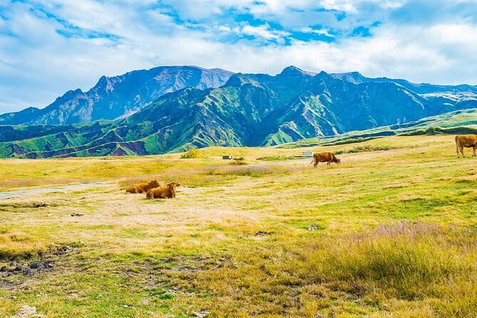 Kyushu: Aso Vocano, Grassland,Onsen and Aso shrine 1-Day Tour - A Day Trip That Fits Aso, Shrine, and Onsen Without Stress