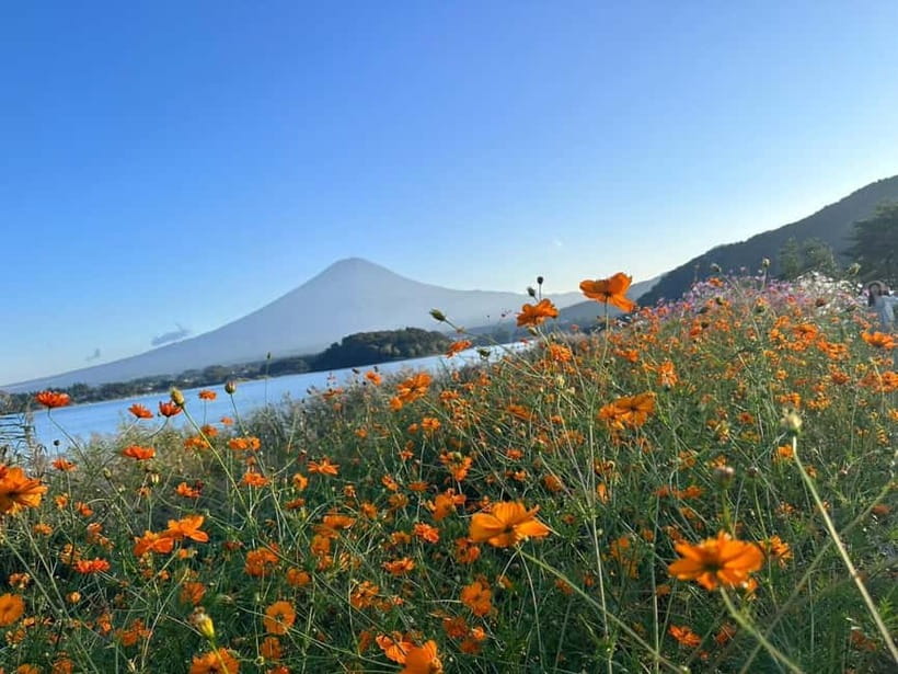 Lake Kawaguchi : Half day Private Tour with local guide - Who should book this private Fuji-focused tour