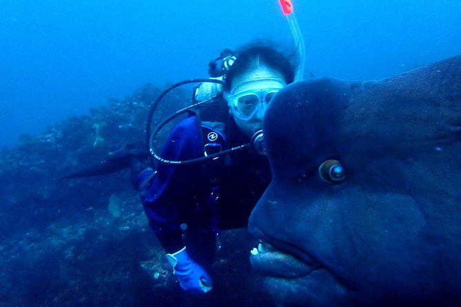 Let's enjoy Scuba diving in Izu Peninsula for certificate Diver - Price and value: is $457 fair for what you actually get?