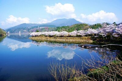 Magome-juku, Tsumago-juku & Ena-kyo 1d Bus Tour from Nagoya