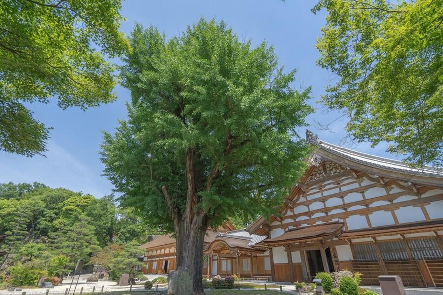 Magome-juku, Tsumago-juku & Ena-kyo 1d Bus Tour from Nagoya - Magome-juku: Edo-era cobblestones, lunch time, and real browsing space