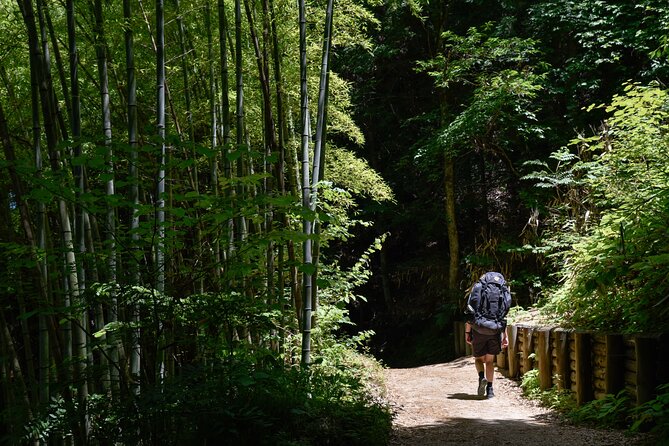 Magome & Tsumago Nakasendo Trail Day Hike with Government-Licensed Guide - Entering the Nakasendo, without the guessing game