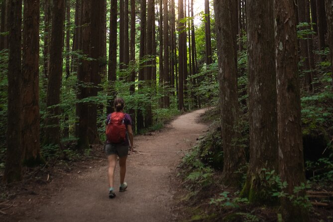 Magome & Tsumago Nakasendo Trail Day Hike with Government-Licensed Guide - How hard is the hike, and what you feel underfoot?