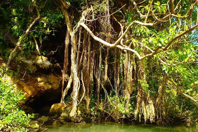 Mangrove kayaking to enjoy nature in Okinawa - Mangrove kayaking on the Hija River, the calm kind of adventure