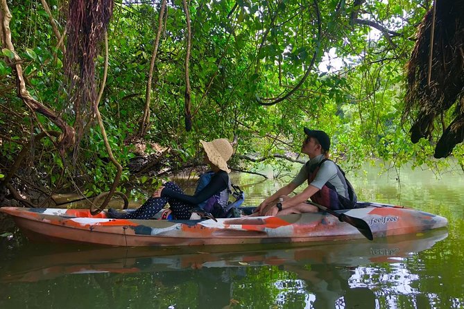 Mangrove kayaking to enjoy nature in Okinawa - Pricing and value for 2 hours in Kadena