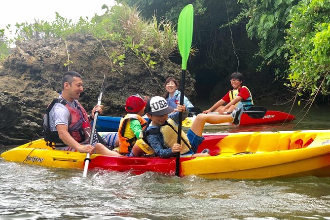Mangrove kayaking to enjoy nature in Okinawa - Who should book mangrove kayaking here, and who might want something else