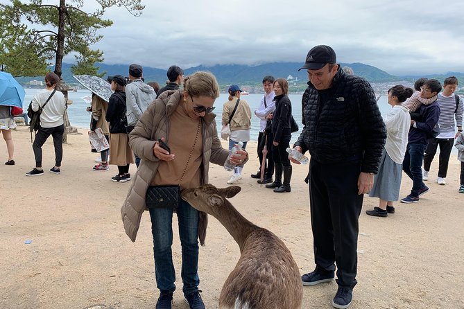 Miyajima Half-day Private Tour with Government Licensed Guide - Walking tips that make or break a half-day on Miyajima