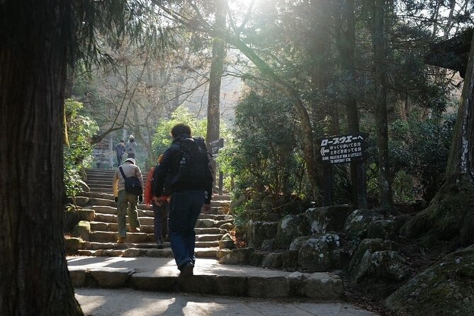 Miyajima Island Tour with Certified Local Guide - Daishoin Temple: photogenic stairs and the seasonal mood