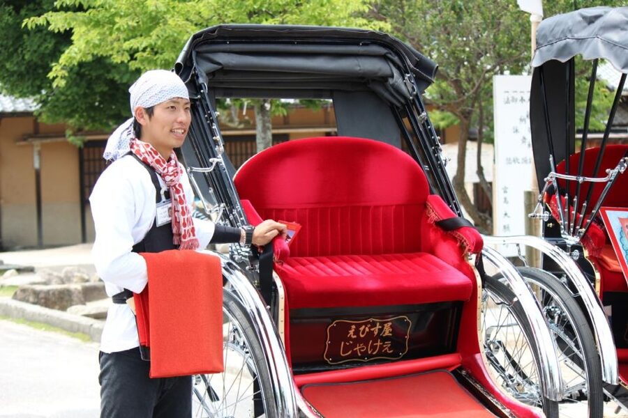 Miyajima: Private Rickshaw Tour to Itsukushima Shrine - Who This Tour Fits Best