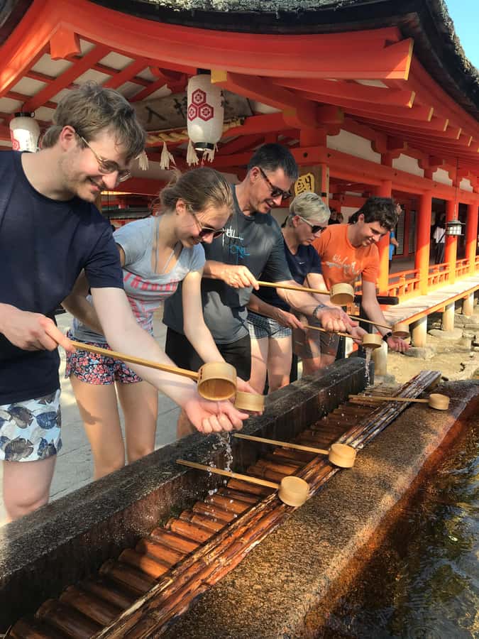 Miyajima World Heritage Torii Kayak Tour - The warm-up paddle: pine hills, floating torii sights, and calmer water