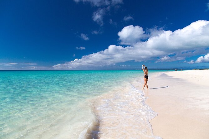 [Miyako Island/Full Day] Sea Turtle Snorkeling & SUP or Canoe - Price and value: what $88.18 is really buying you