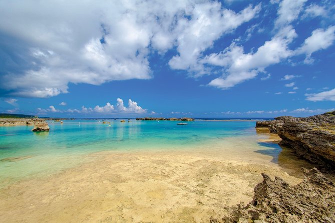 [Miyako Island/Half Day] Sea Turtle Snorkeling - What you wear, what you use, and what can stop you from joining