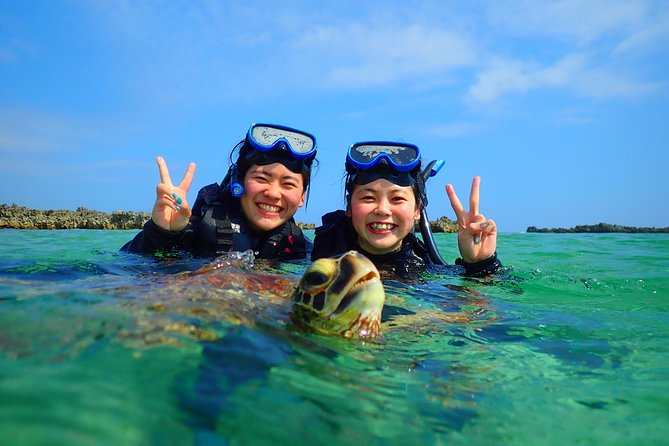 [Miyako Island/Half Day] Sea Turtle Snorkeling - Who should book, and who should skip this snorkeling slot