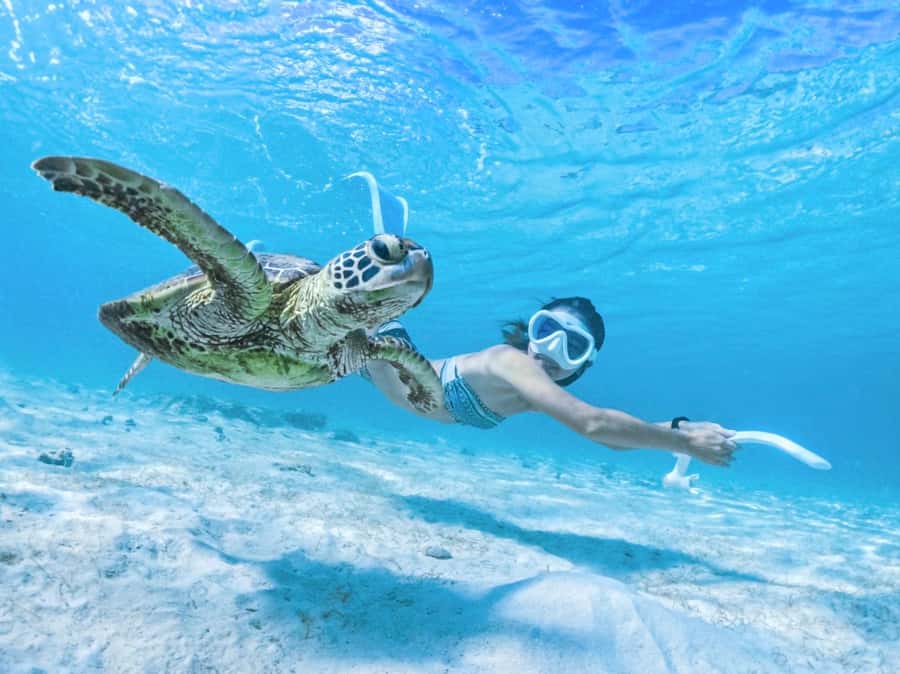 Miyako island: Pumpkin Limestone Caving & Snorkeling - Snorkeling at Shigira Beach, sea turtles plus reef fish