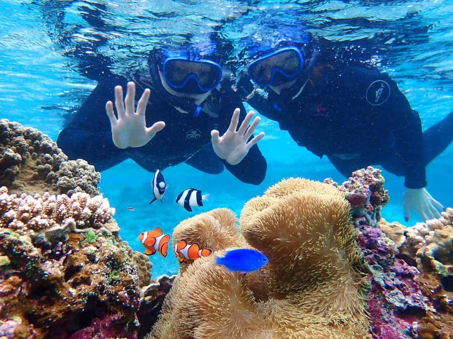 Miyako island: Pumpkin Limestone Caving & Snorkeling - Getting to Ryugu Castle by canoe and on foot