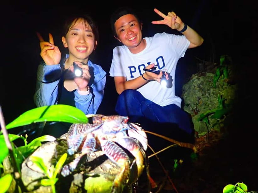 Miyako Island: Stars & Jungle Night Walking Tour - Who this tour suits, and who should skip it