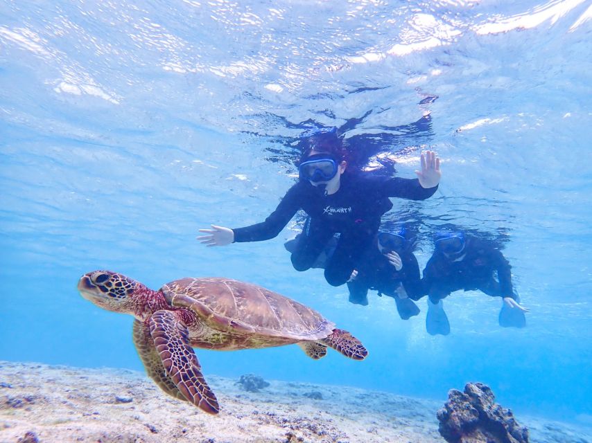 Miyako Island: SUP or Canoeing and Snorkeling Experience - Should you book this Miyako kayaking and snorkeling tour?