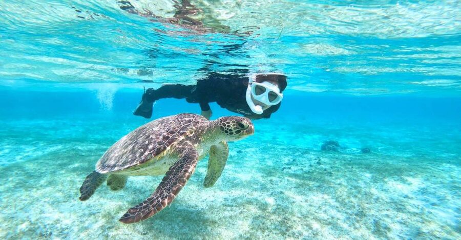 Miyako Island: SUP or Canoeing and Snorkeling Experience - SUP, kayak, or canoe: choosing how you paddle the open water
