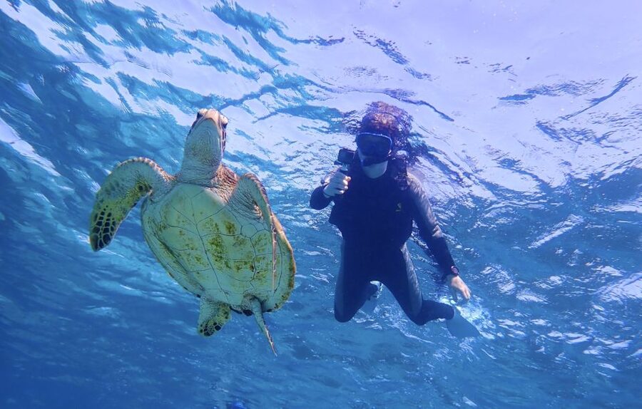 Miyako Island: SUP or Canoeing and Snorkeling Experience - Lunch and money: what the tour includes, and what you’ll pay separately