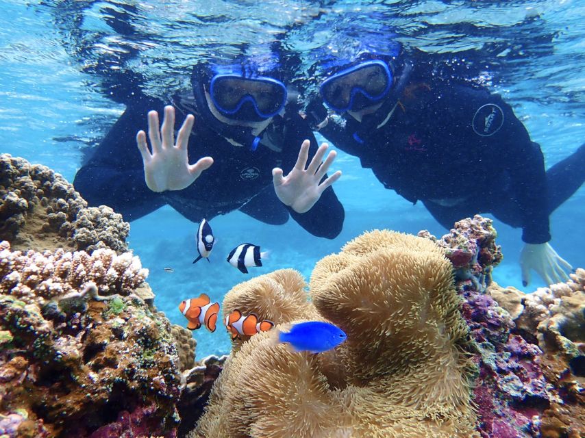 Miyako Island: SUP or Canoeing and Snorkeling Experience - Who this suits well, and who should pass