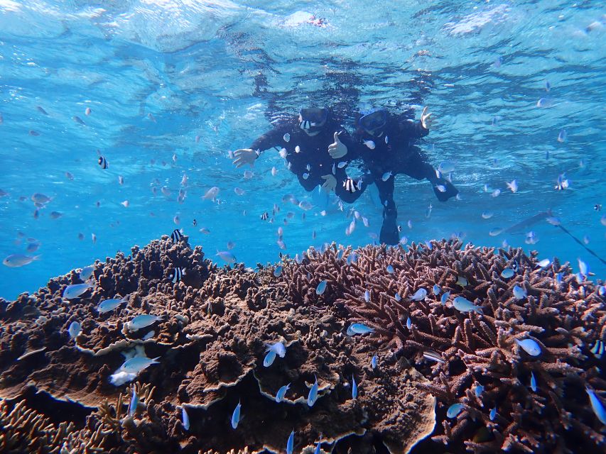 Miyako Island: SUP or Canoeing and Snorkeling Experience - Language, guide support, and staying connected