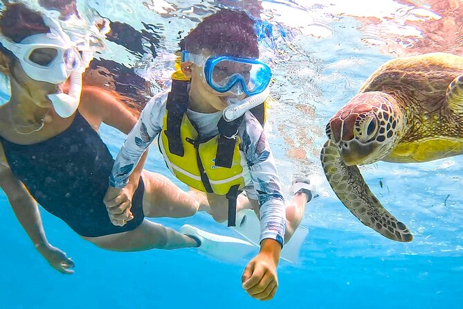 Miyako Two Activities in Half Day SUP and Sea Turtle Snorkeling - Sea turtle snorkeling where the odds are the point