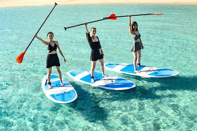 Miyako Two Activities in Half Day SUP and Sea Turtle Snorkeling - Weather reality: plan for the Miyakojima wind