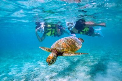 Miyakojima / Snorkel tour to swim with sea turtles