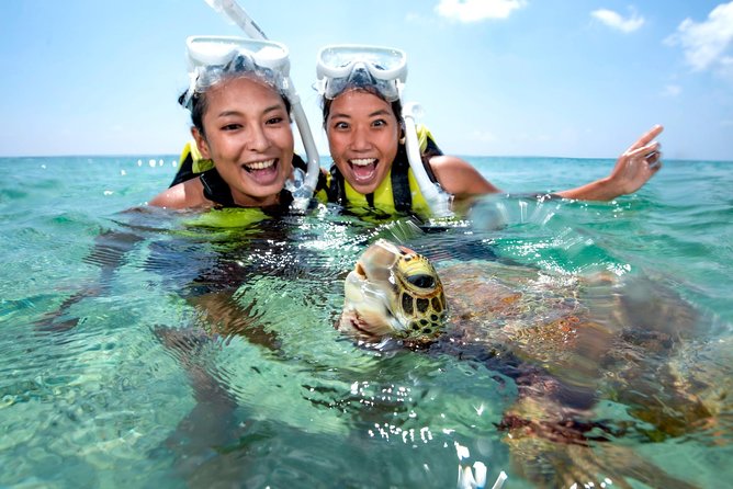 Miyakojima / Snorkel tour to swim with sea turtles - Who This Tour Is Best For (And Who Should Skip It)