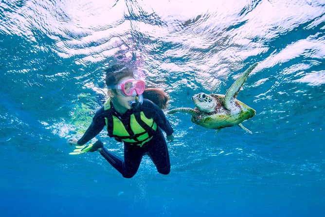 Miyakojima / Snorkel tour to swim with sea turtles - Practical Tips That Make the Day Easier